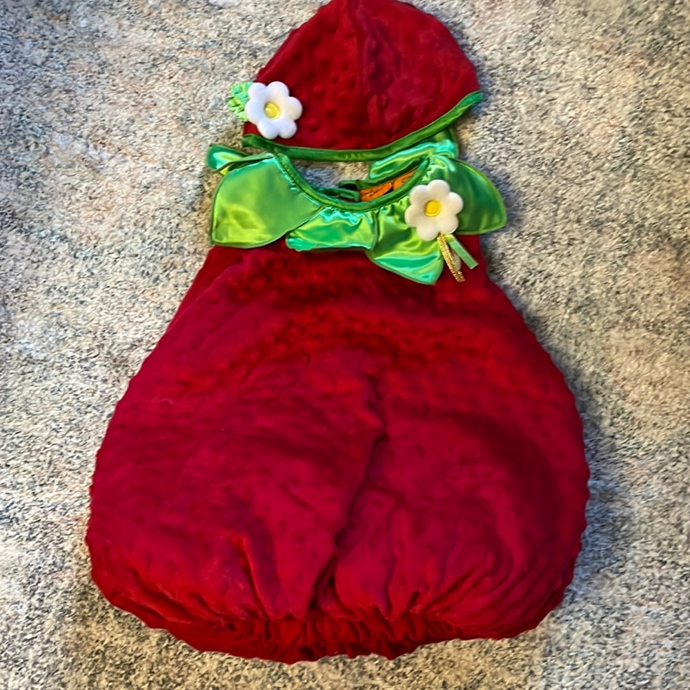 2T strawberry costume, great used condition.
